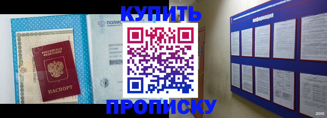 временная регистрация для всех в Курчалом
